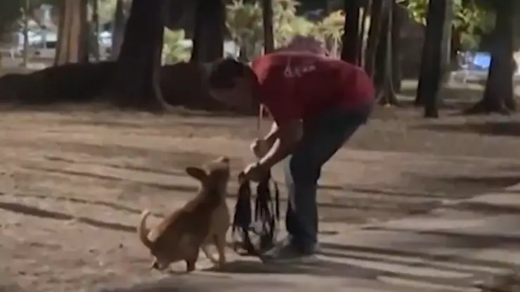 maltrato animal Zapopan, Jalisco