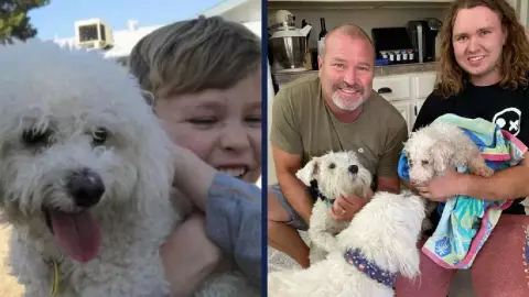 FOTO Perro perdido reencuentra con su familia tras 12 años