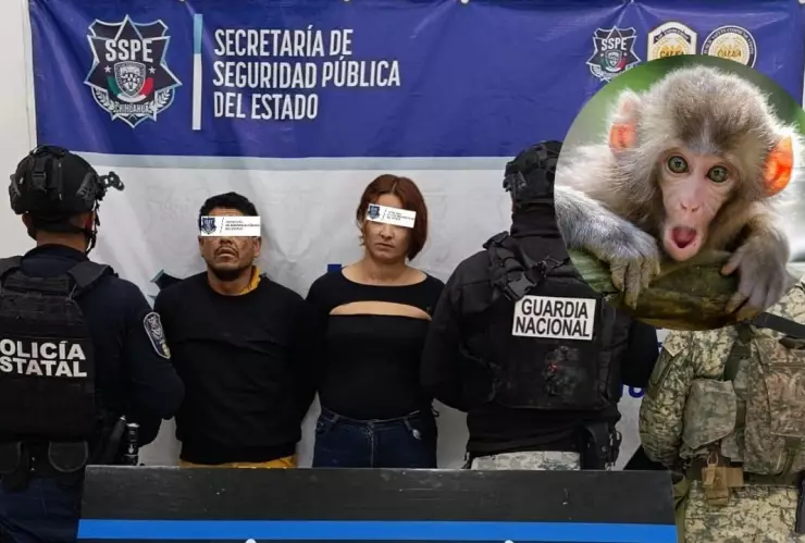 Sujetos detenidos en Chihuahua y foto de un mono.
