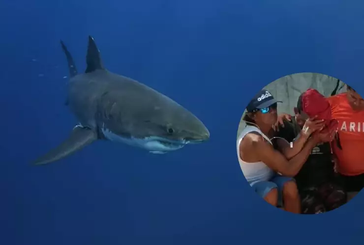 Reportan ataque de tiburón en Mahahual; le mordió el brazo a un pescador