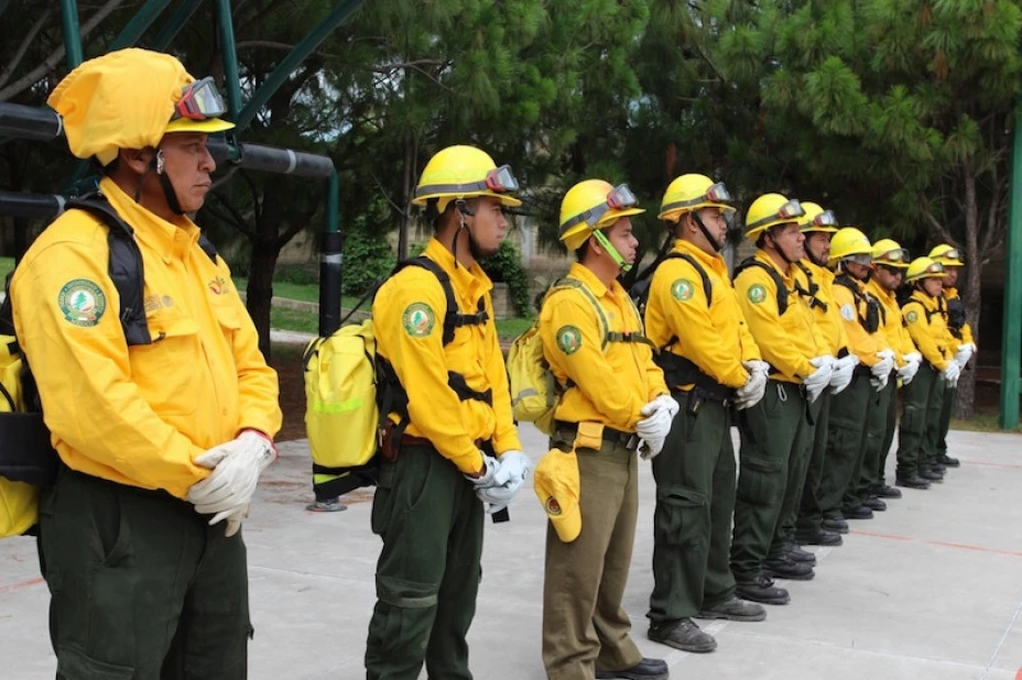 Incendios forestales
