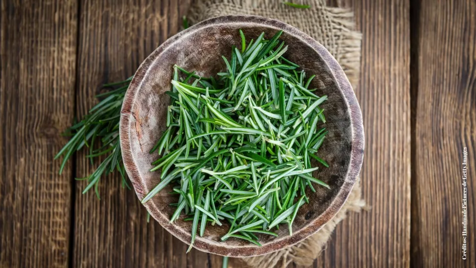 ¿Cómo atraer el dinero y abundancia con romero?