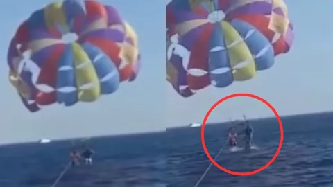 VIDEO Tiburón salta del agua y muerde paracaidista