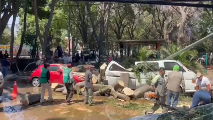 Coches en Azcapotzalco