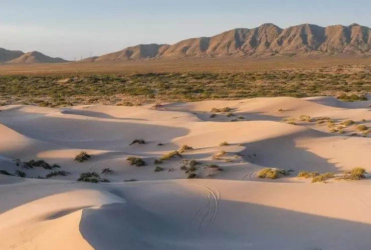 Dunas de Samalayuca, Chihuahua