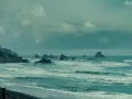 saga-crepusculo (1).jpg