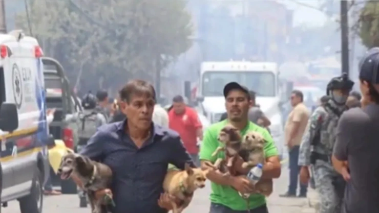 Padre e hijo rescataron a sus perritos en explosión en Cuernavaca