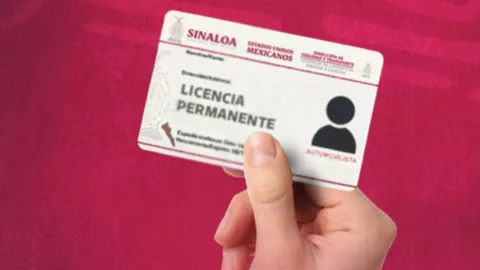 Licencia permanente en Sinaloa