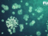 Influenza en México: aumenta demanda de vacunas ante nueva variante