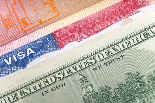 Visa TN requisitos
