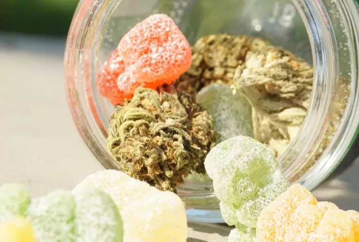 Niño murió tras comer gomitas de THC, acusan de asesinato a la mamá