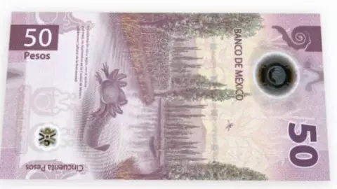 Billete del Ajolote se vende en millones por este error