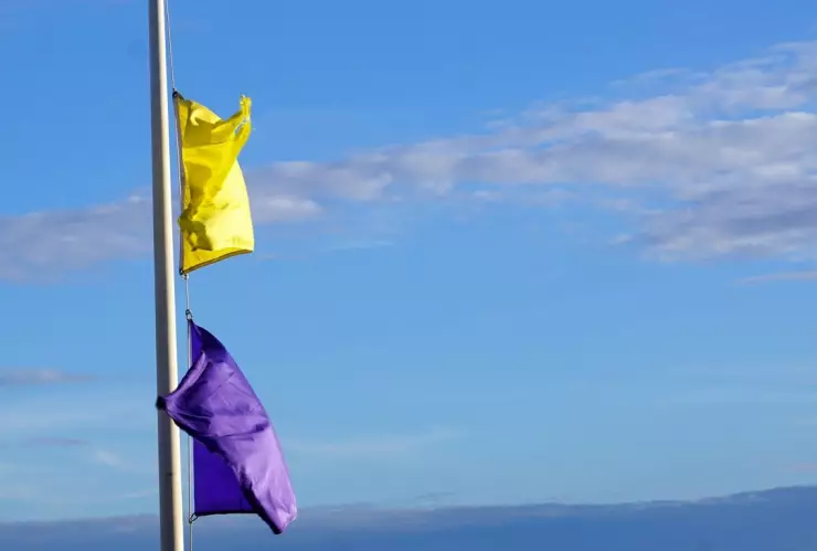 La bandera morada en la playa advierte a los nadadores de un peligro común
