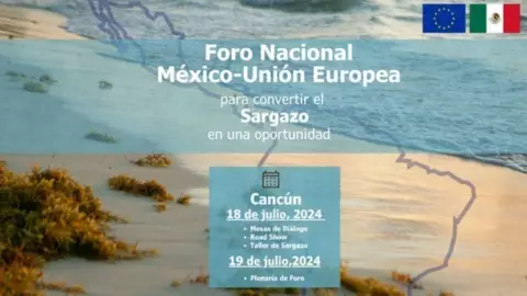 Confirman Foro México-Unión Europea en Cancún para mitigar el sargazo en el Caribe Mexicano