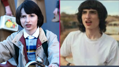 fin mike