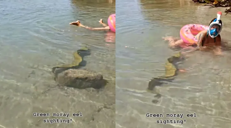Captura de pantalla de la escena en la que la anguila aparece junto a una mujer en Florida.