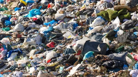 Brazo humano en Valle de Las Palmas en Tijuana