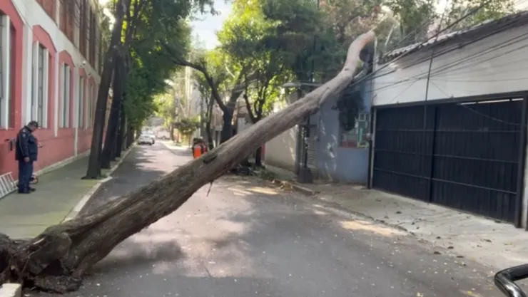 Accidentes en CDMX HOY: Calles afectadas hoy por socavones, baches y fugas de agua este miércoles; zonas afectadas