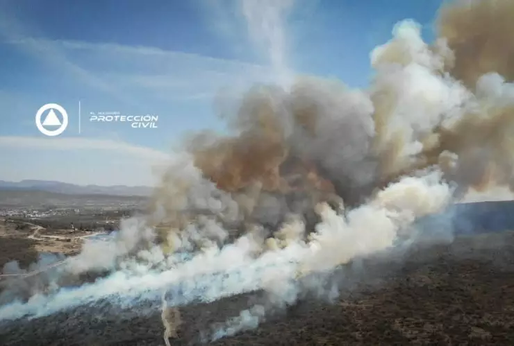 WhatsApp Image 2025-04-15 at 3.42.35 PM.jpeg