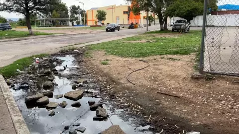 Canchas abandonadas generan inseguridad en colonia Constitución de Aguascalientes