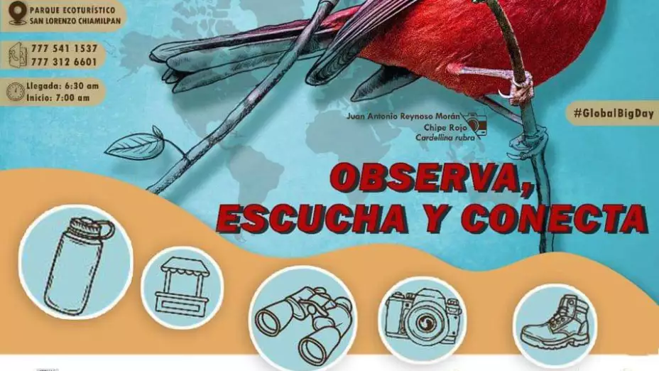 ¿Qué es el Global Big Day?