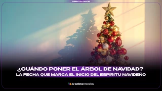 Cuando poner el arbol de navidad 16.9.png