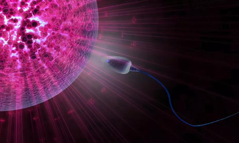 Cortesía Asociación Vida y Células Madre.jpg