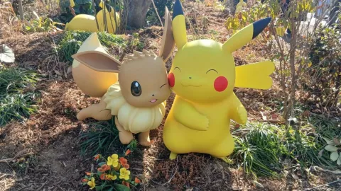 PokePark Kanto