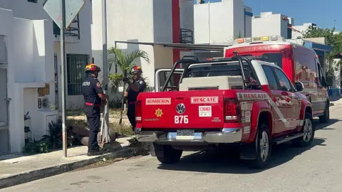 pitbull ataque perro los heroes
