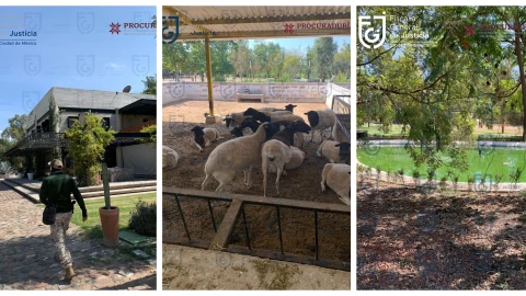 Aseguran un rancho de 18 mil metros cuadrados a Felipe de Jesús, ex titular de la Seduvi, durante un cateo hidalgo