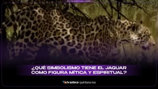 ¿Qué simbolismo tiene el jaguar como figura mítica y espiritual? Aquí te lo explicamos