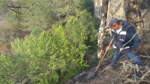 incendio tetela de ocampo puebla