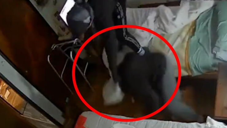 ladron golpea a abuelita