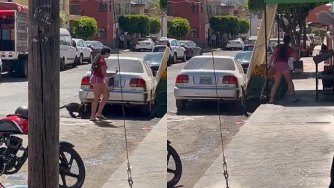 Rescatan a cachorro de jaguar que era paseado por una mujer en Jalisco