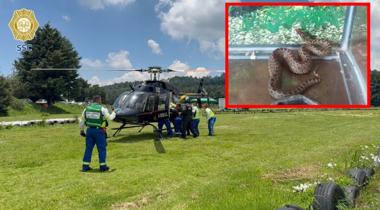Equipos de búsqueda de Ana Ameli García Gámez en el Ajusco.