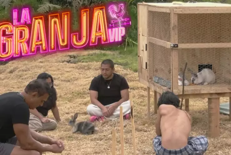 Los conejitos de La Granja VIP ya tienen nombre y esto es lo que debes saber.