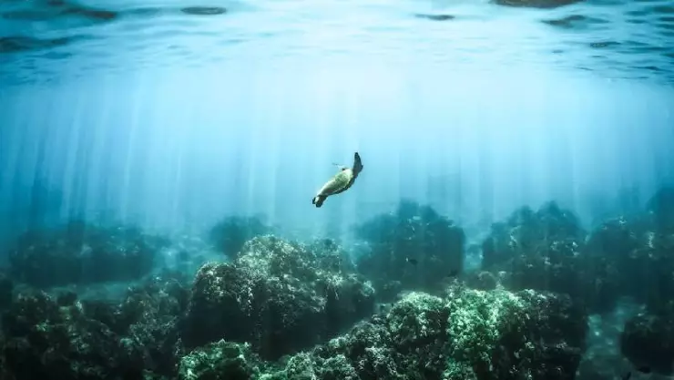 Descubren enorme agujero negro en el océano que podría provocar sismo