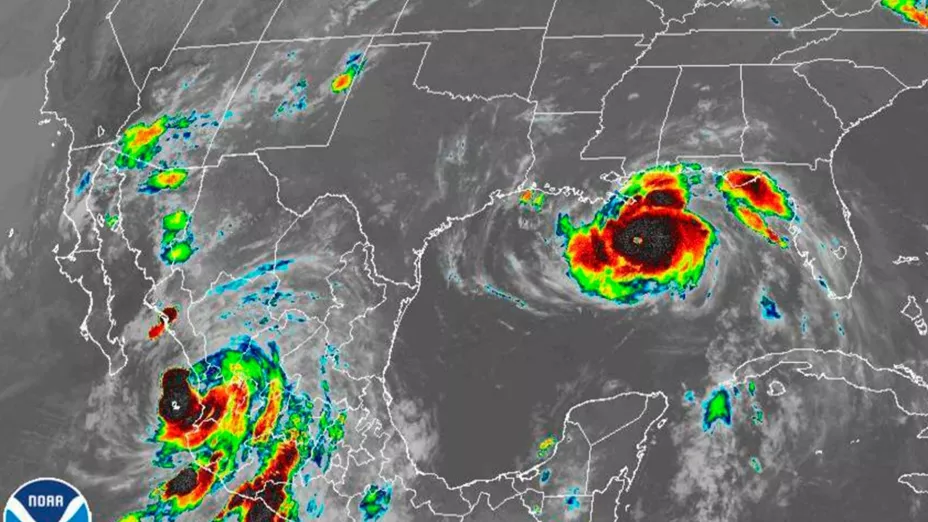 Nora Golfo de California1.jpg