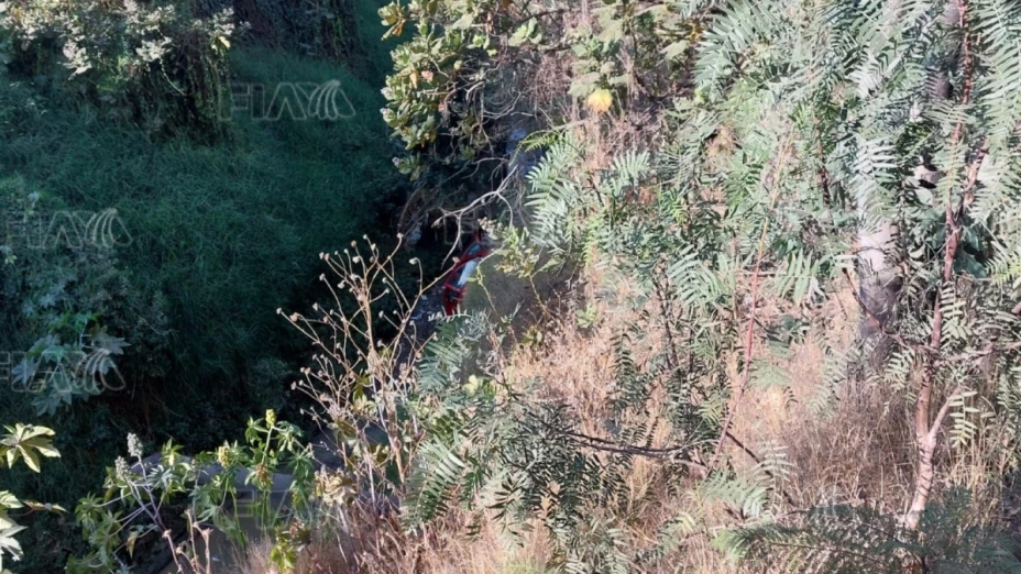 auto se va a barranco