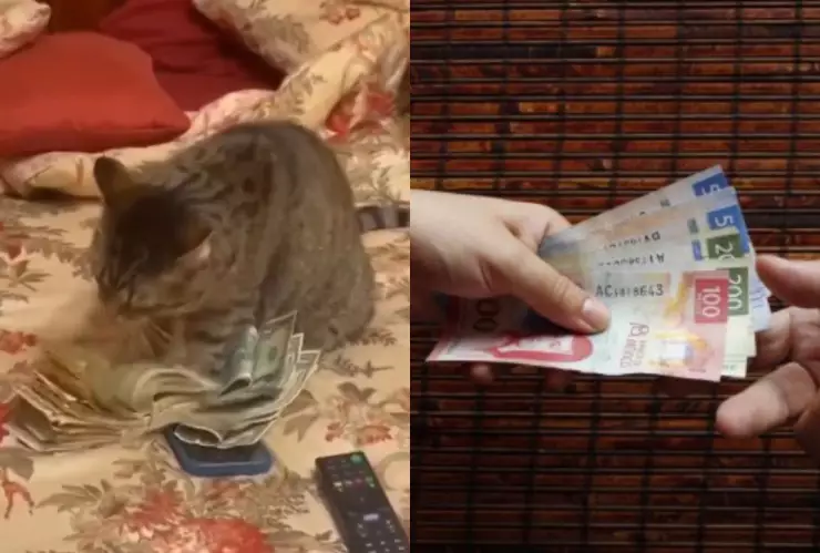 ¿Este año? La fecha en que el doble aguinaldo podría entrar en vigor para trabajadores