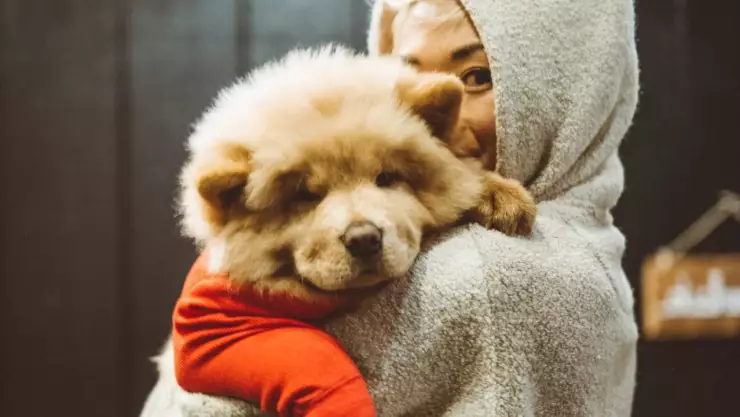 ¿Cómo saber si tu mascota tiene frío? Aquí las señales