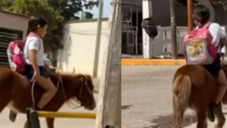Niña llega a la escuela montada en su pony y se hace viral
