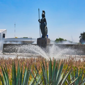 ciudad de México donde las mujeres se visten más lindo