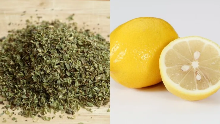 /estilo-de-vida/como-usar-oregano-y-el-limon-te-fiestas-patrias
