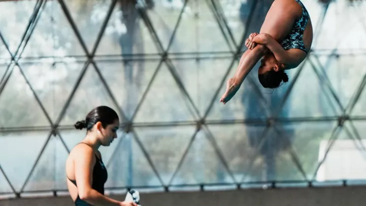 clavadistas mundial de natación