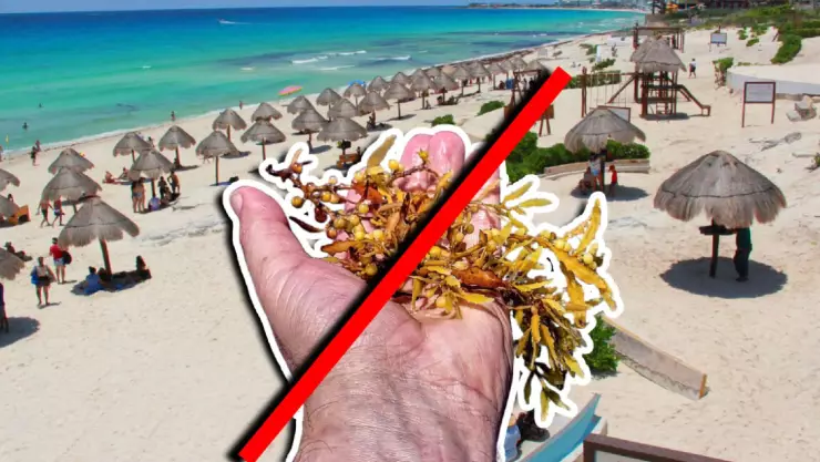 Playas sin sargazo en Cancún y todo Quintana Roo HOY 8 de abril de 2026: Aquí la lista COMPLETA