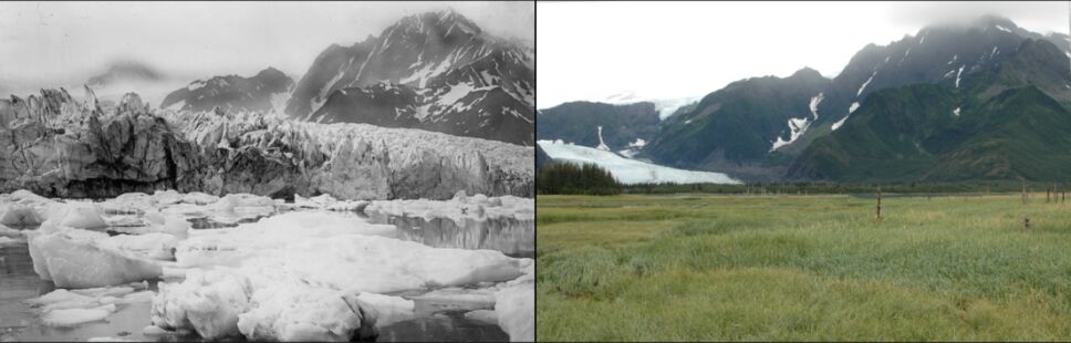 Glaciar Pedersen.png