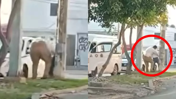 Sancionan y expulsan a conductor de transporte público tras ser captado agrediendo a taxista con discapacidad en Cancún