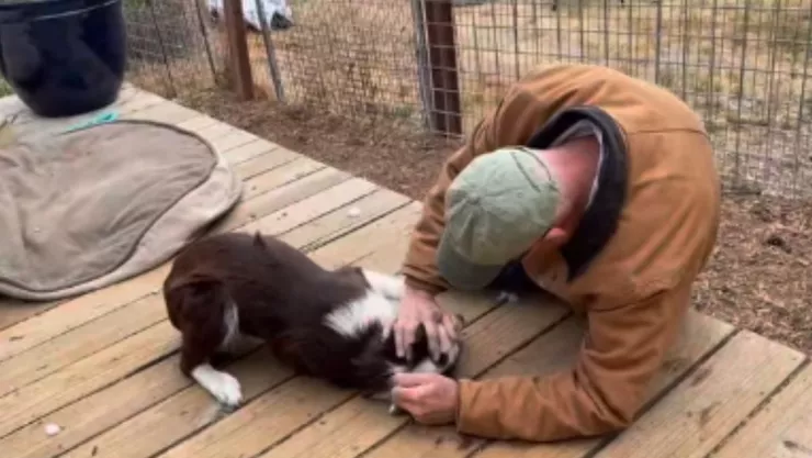 video-perrito-se-reencuentra-rescatador-conmueve-redes-sociales.jpg