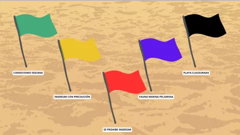 Banderas en playas de Guerrero